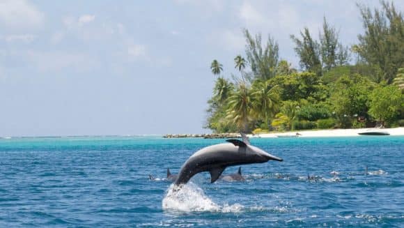 Private luxury yacht charter and liveaboard in South-East Asia with Yachting Experience