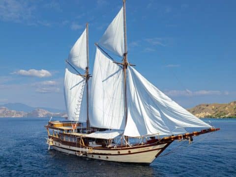 Nataraja luxury phinisi charter yacht under full white sails with warm teak wood hull sailing Komodo waters with dry golden volcanic hills behind