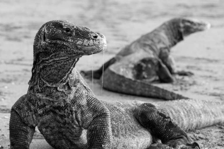 On-board spa experience on a private luxury yacht charter in Komodo National Park, Indonesia